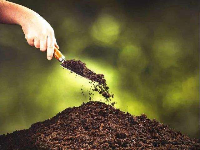 新一輪千億斤糧食產能提升行動在即，鉀肥供給或迎來大高潮（附報告分析）