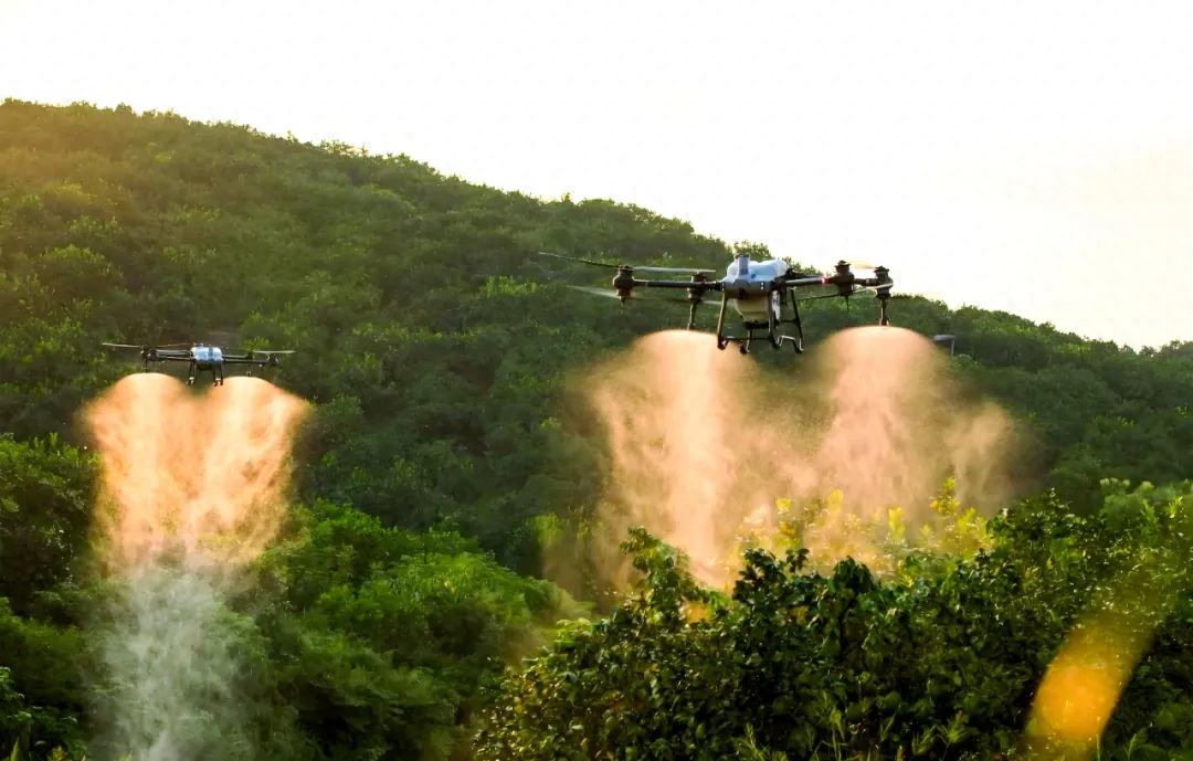 50萬架農業無人機如何重塑全球農業？揭秘未來十年新風口