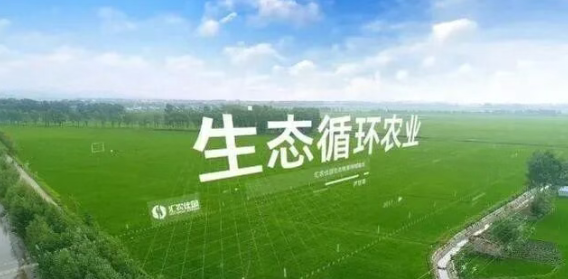 【農業模式】新型生態環保高效可循環養殖新模式！