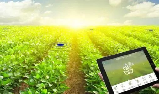 【商業(yè)案例】百度如何打造農(nóng)業(yè)種植方案