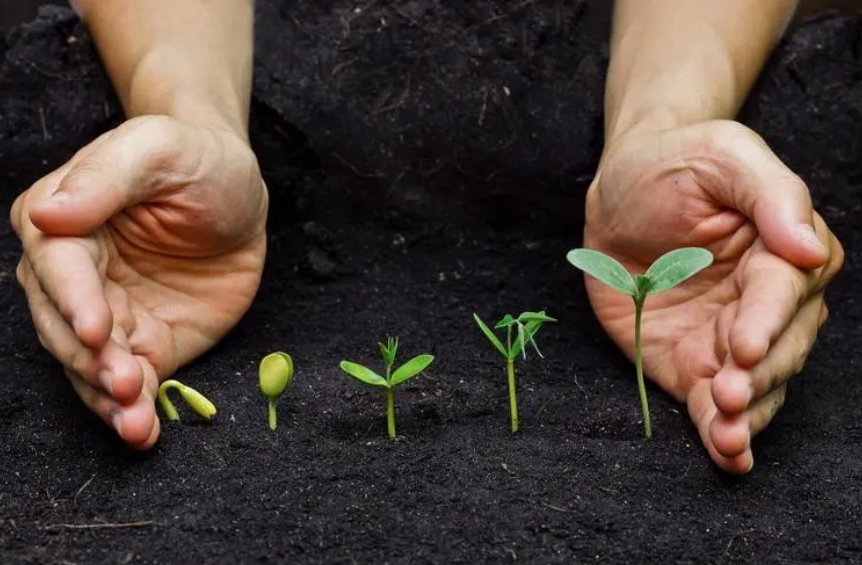 【現代化農業】種業3.0革命 - 中國生物育種如何重構540億市場版圖