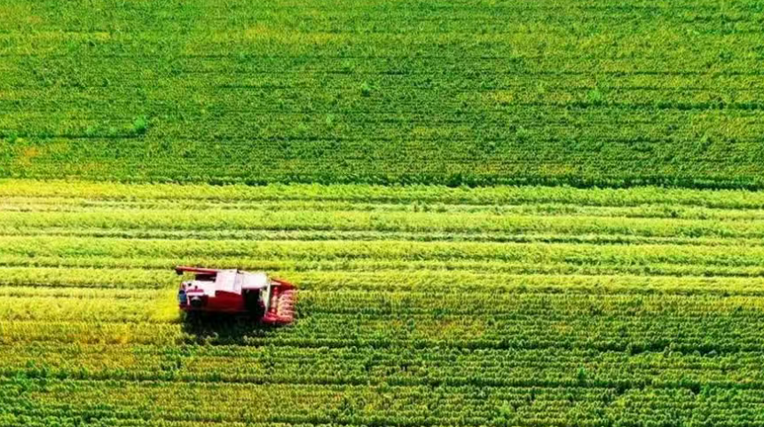 農(nóng)業(yè)投資八大關(guān)鍵要素！建議收藏~