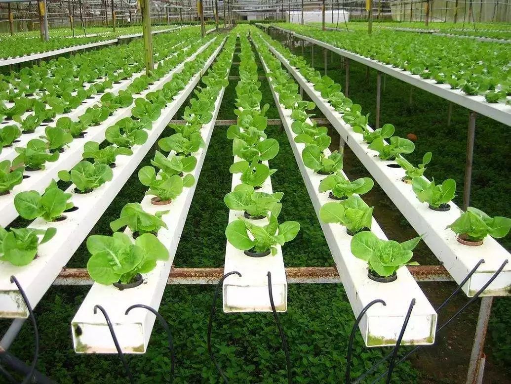 綠色農業引爆萬億級產業新機會！