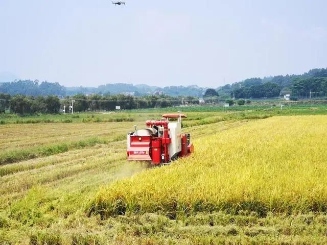 三農日報|院士：推廣無人農場需要土地規模化；農資行業賒銷率高達70%