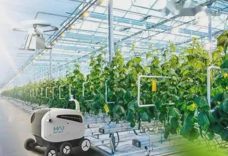 【數字農業】數字農業的發展趨勢與推進路徑