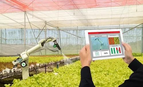 數字農業的發展趨勢與推進路徑：推動農業高質量發展