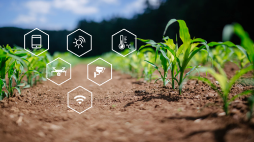 【農業科技】區塊鏈技術破解農業溯源核心難題