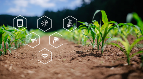 三農日報|政策：破解農業農村基礎設施短板；專家：區塊鏈技術利好農村金