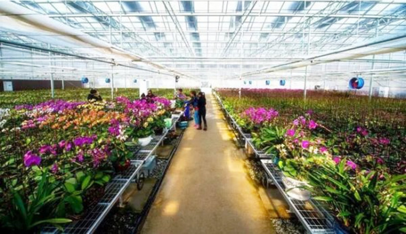 三農日報|新型農業主體獲“救災貸”；農業發展“心病”凸現；新零售成生鮮電商救世主