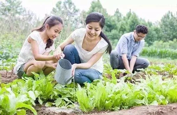 ?【實操經驗】如何打造具有競爭力的親子農業核心產品