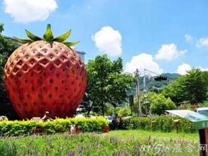 新型休閑農業發展模式有哪些？（內附案例）