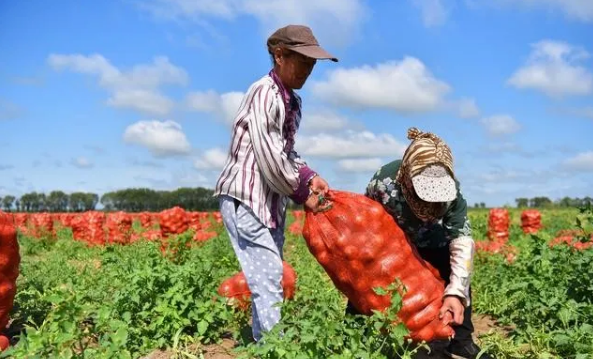 農業生產上11大農藥使用問題，這些問題，你中了幾個？