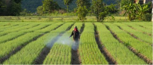 諾普信：擬募資5.3億 發力研發產品