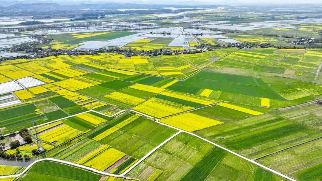 農業食品強勁！新財富500富人榜：鐘睒睒三奪首富，張紅超兄弟、范現國首次登榜！