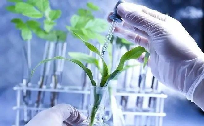 【產業洞察】吳清平院士：我國農業微生物發展趨勢！