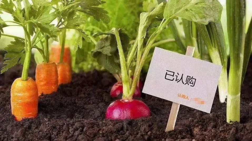 【新模式】淺析“認(rèn)養(yǎng)農(nóng)業(yè)”的營(yíng)銷方法，“訂單式”生態(tài)農(nóng)業(yè)可以夢(mèng)想成真