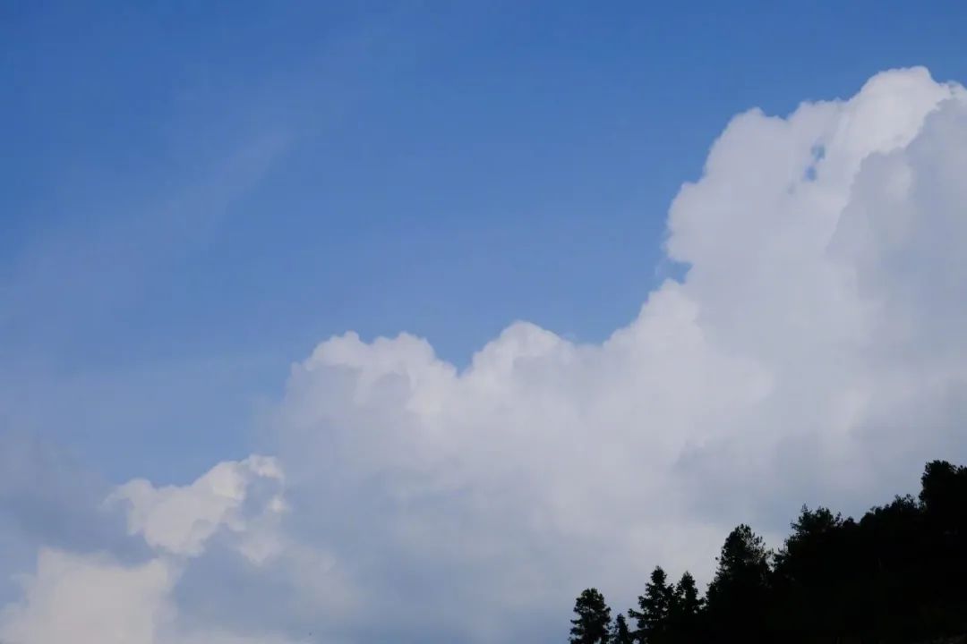 【夜讀】驚人的吸引力法則：和正能量的人在一起，很重要