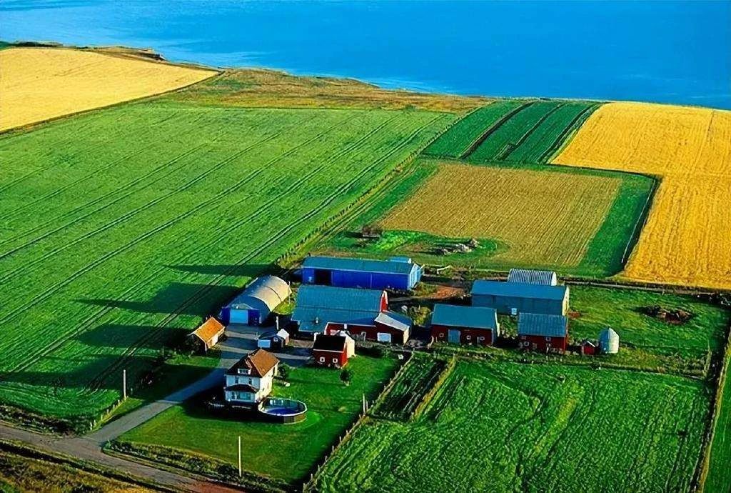 第三屆農業行業觀察峰會總結來了！1.2萬文字，23位嘉賓，你想看的都在里面！