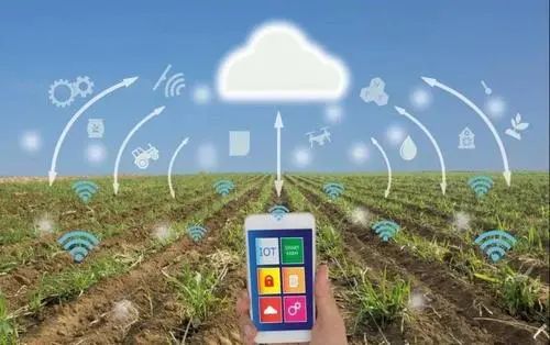 【對話】農業農村部大數據發展中心主任韓旭談新機構為何成立？干什么？怎么干？