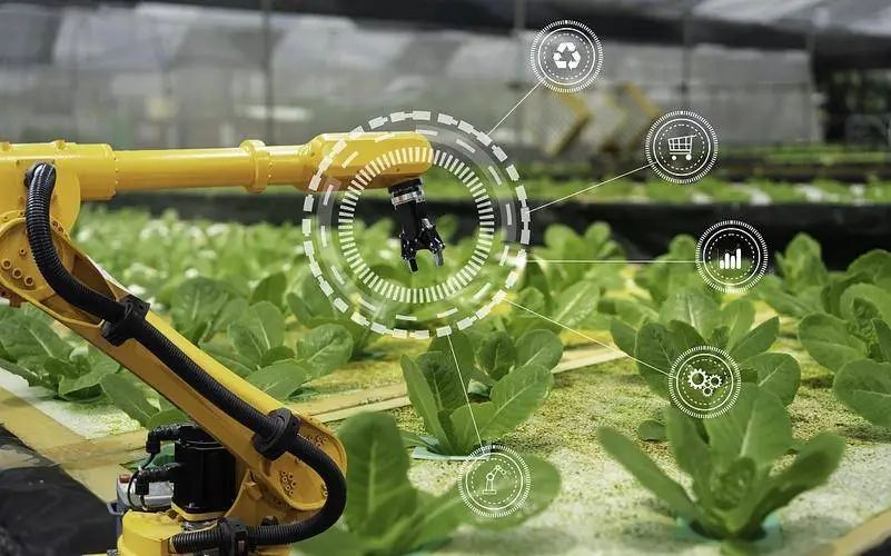 基于“互聯網+”的農業種植技術推廣探究