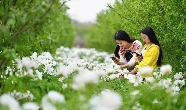 漲姿勢！農業人必知的18種農業類型