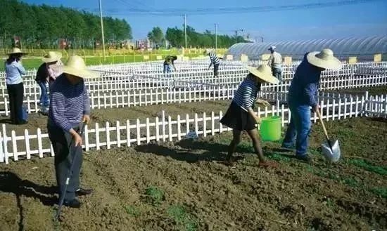 【大佬解讀】有機農業，大勢所趨，人心所向！
