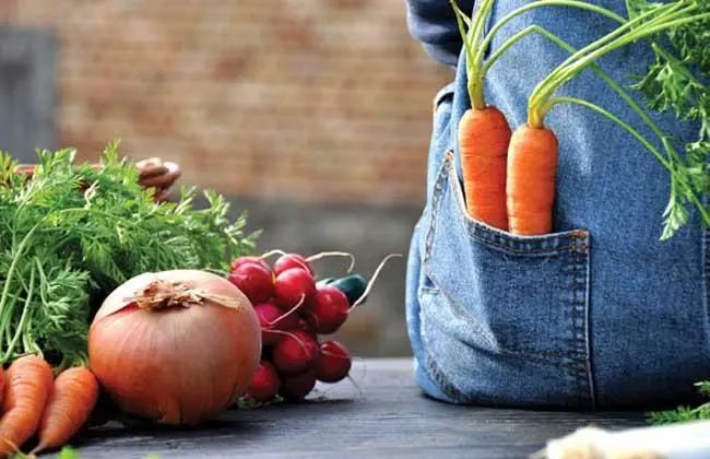 什么是有機(jī)農(nóng)業(yè)？未來國內(nèi)有機(jī)農(nóng)業(yè)行業(yè)特點(diǎn)與市場如何