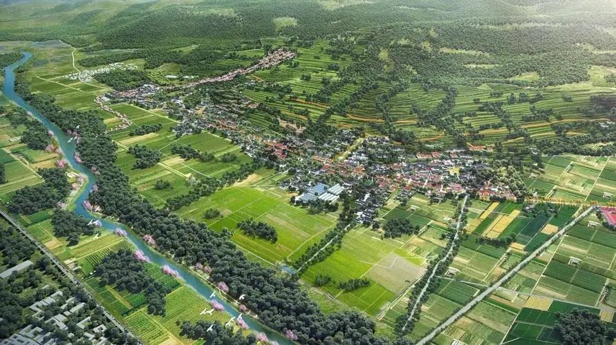 【有機(jī)農(nóng)業(yè)】鄉(xiāng)村振興背景下，有機(jī)農(nóng)業(yè)3.0時(shí)代的思考